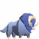Ox