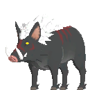 Elder Scrofa