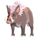 Male Scrofa