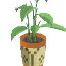 Wicker Floor Plant (Common)
