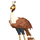 Dromai