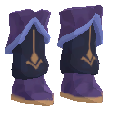 Professional Scholar's Shoes