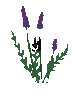Basic Flower (Common)