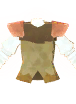Astralite Plated Armor (Legendary)