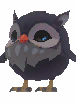 Pet Owl Black