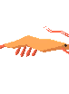Driftwood Crayfish (Common)