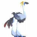 Desert Terrorbird