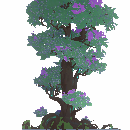 Traveler's Tree