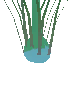 Basic Starbulb Plant (Common)